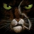 Avatar de Framer